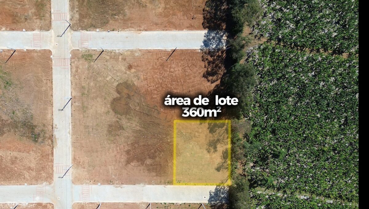Lote 360
